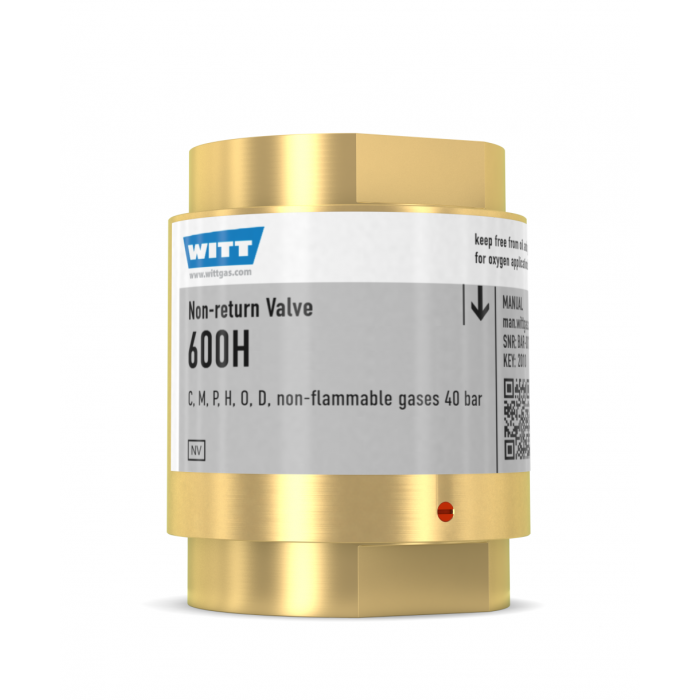 Обратный клапан WITT 600H