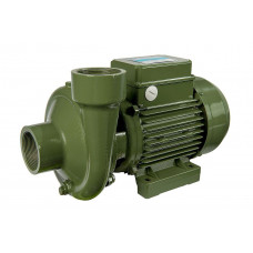 Насос SAER BP 3 230V