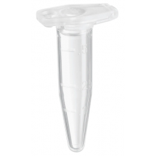 Пробирки Eppendorf бесцветные 50 шт. 0030121570