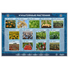 Стенд Зарница культурные растения