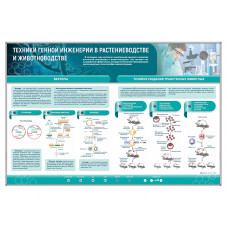 Стенд Зарница техники генной инженерии