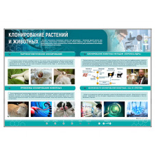 Стенд Зарница клонирование растений и животных