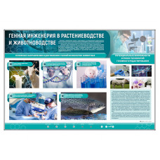 Стенд Зарница генная инженерия