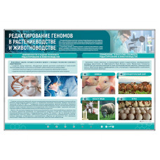 Стенд Зарница редактирование геномов